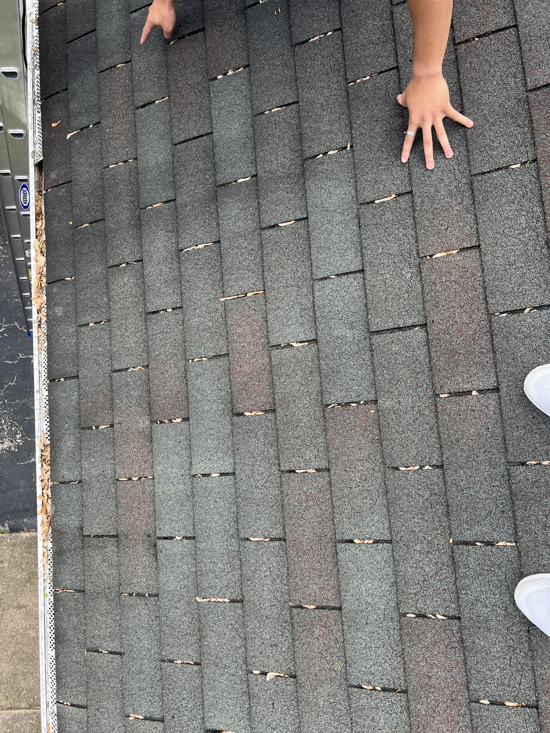 Roof Inspection Services Beltsville, MD | Free Roof Check | Bright View Exteriors
