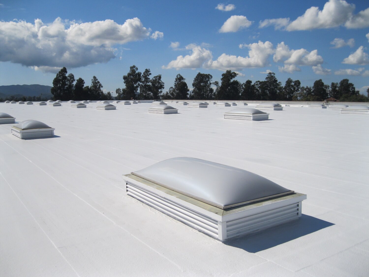 TPO Roofing Services Beltsville, MD | Commercial Roof Experts