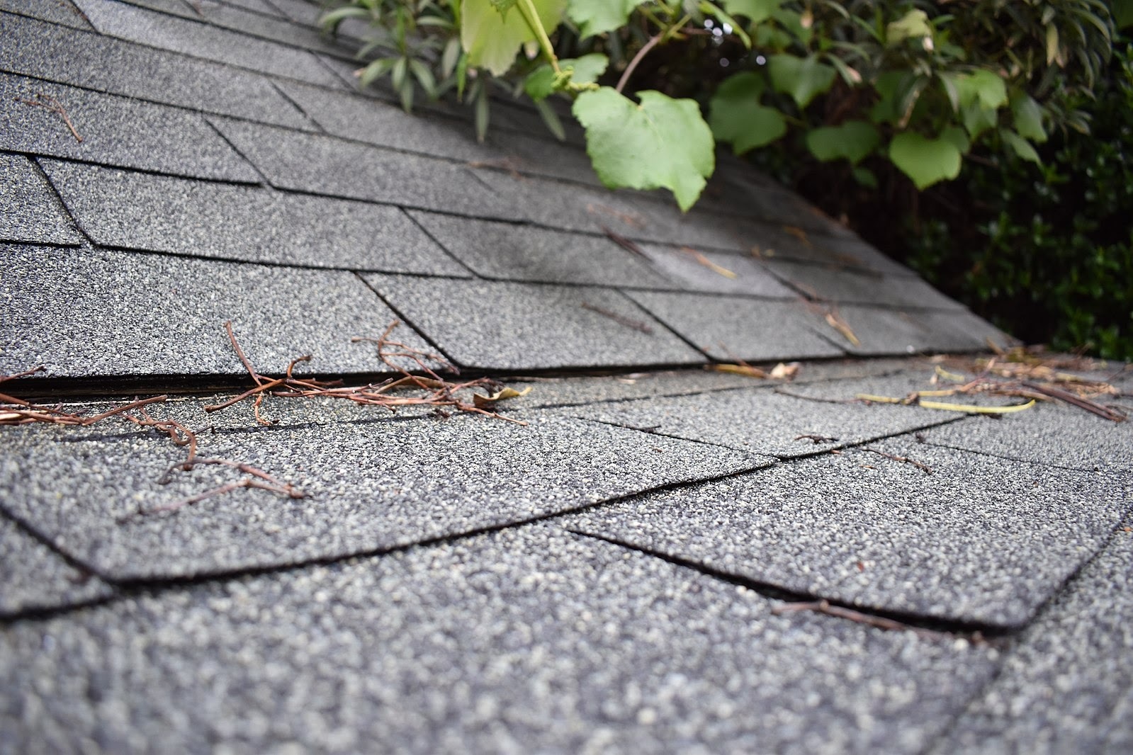 Shingle Roofing Services Beltsville, MD | Bright View Exteriors
