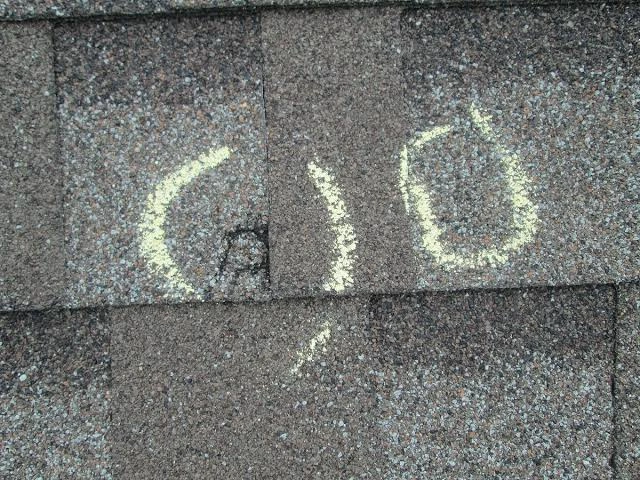 Close-up of storm hail damage on asphalt shingles