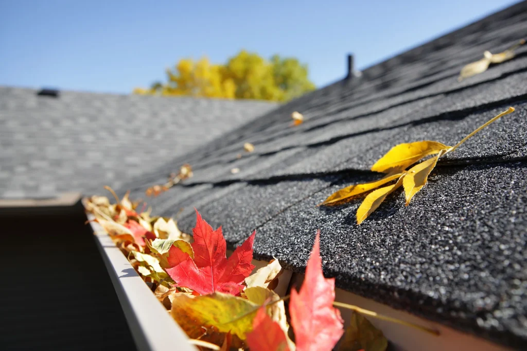 Maryland home roof covered in fall leaves, ready for a pre-winter roof inspection