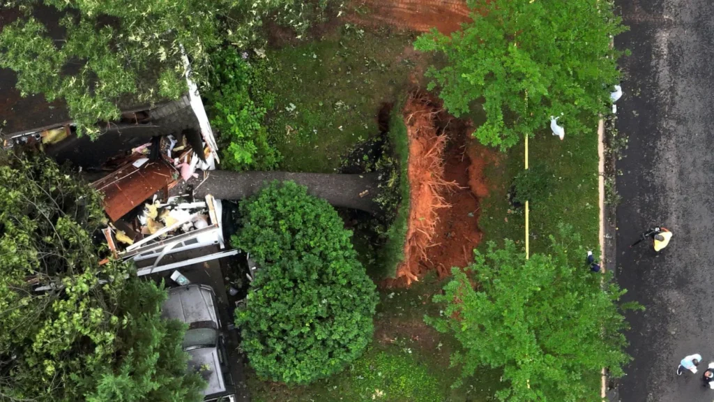 tree fallen on the roof of a Maryland home after a storm