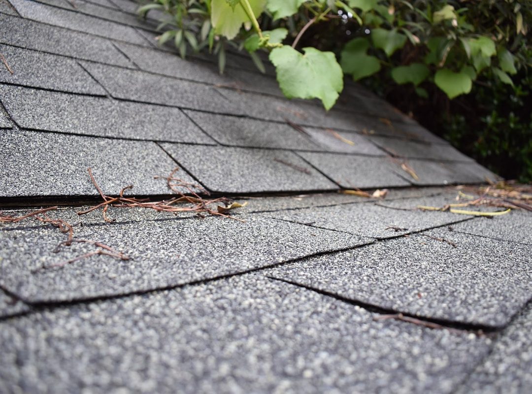 1599px-Shingle_Roof_2_2017-04-21